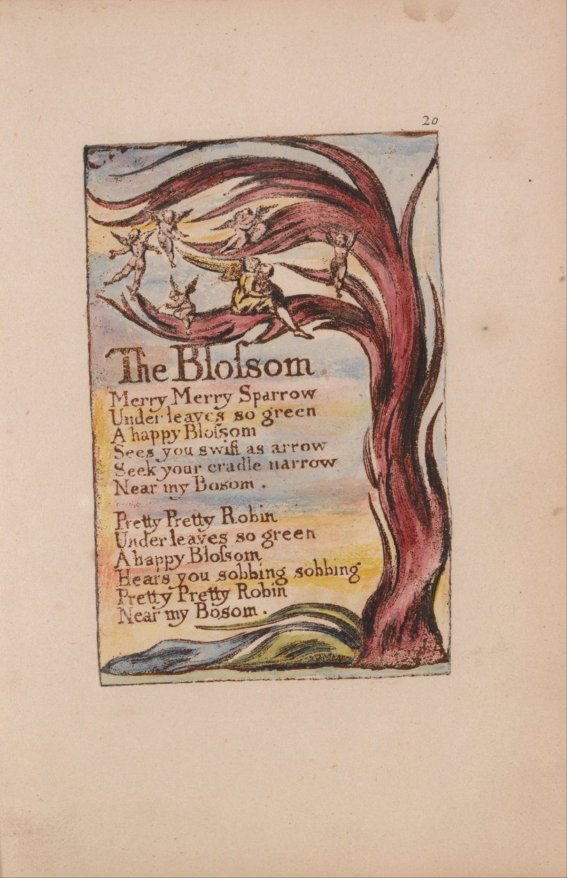 Songs of Innocence and of Experience, Plaat 20, The Blossom (Bentley 11) door William Blake