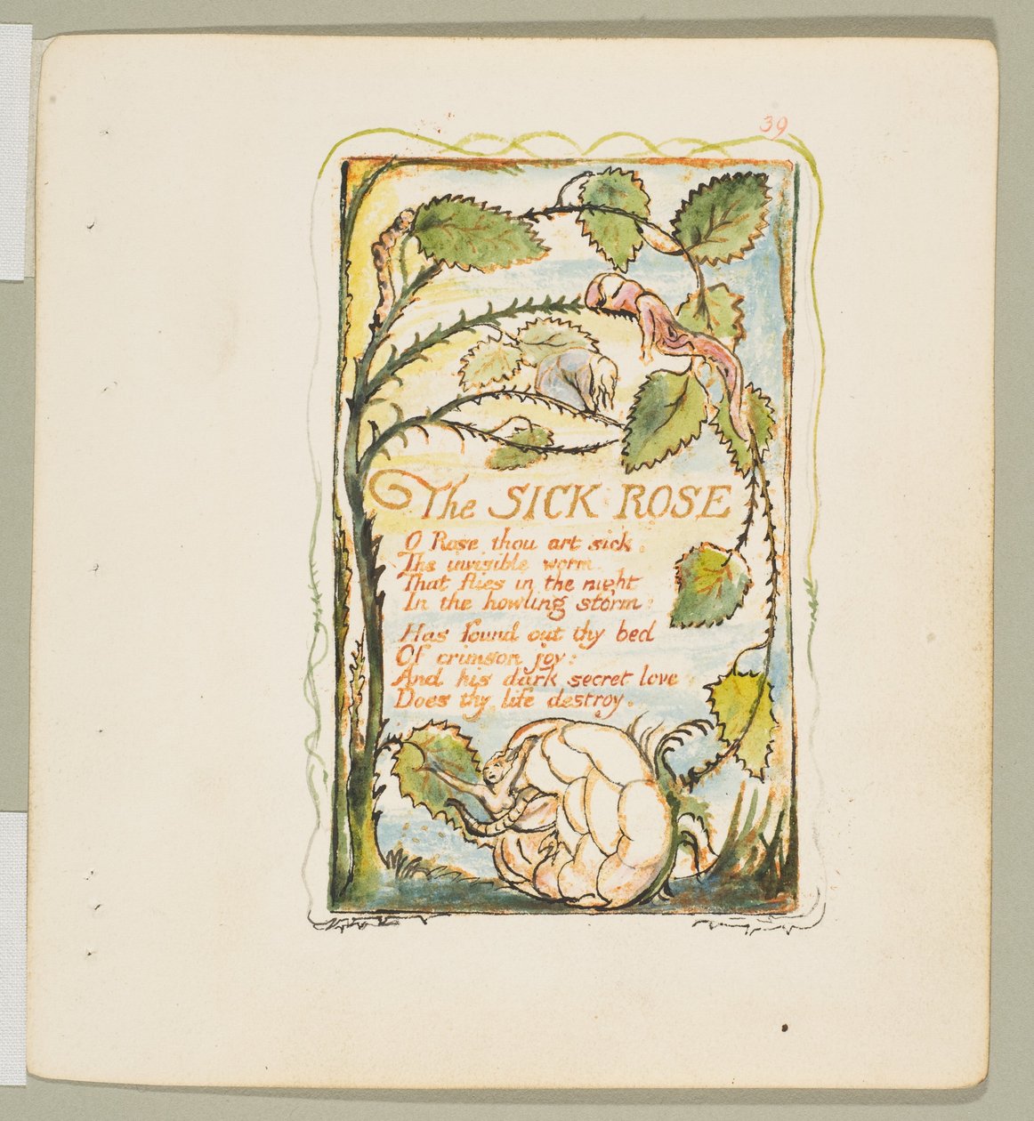 Songs of Innocence and of Experience: The Sick Rose door William Blake