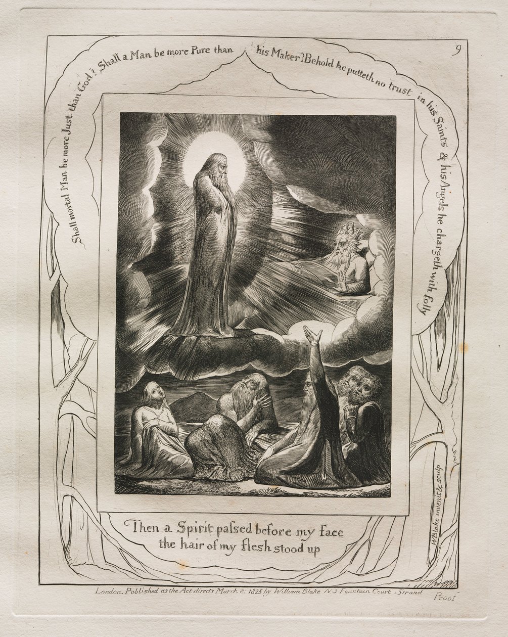 Het Boek van Job: Pl. 9, Toen ging een Geest voor mijn gezicht voorbij het haar van mijn vlees stond overeind, 1825 door William Blake