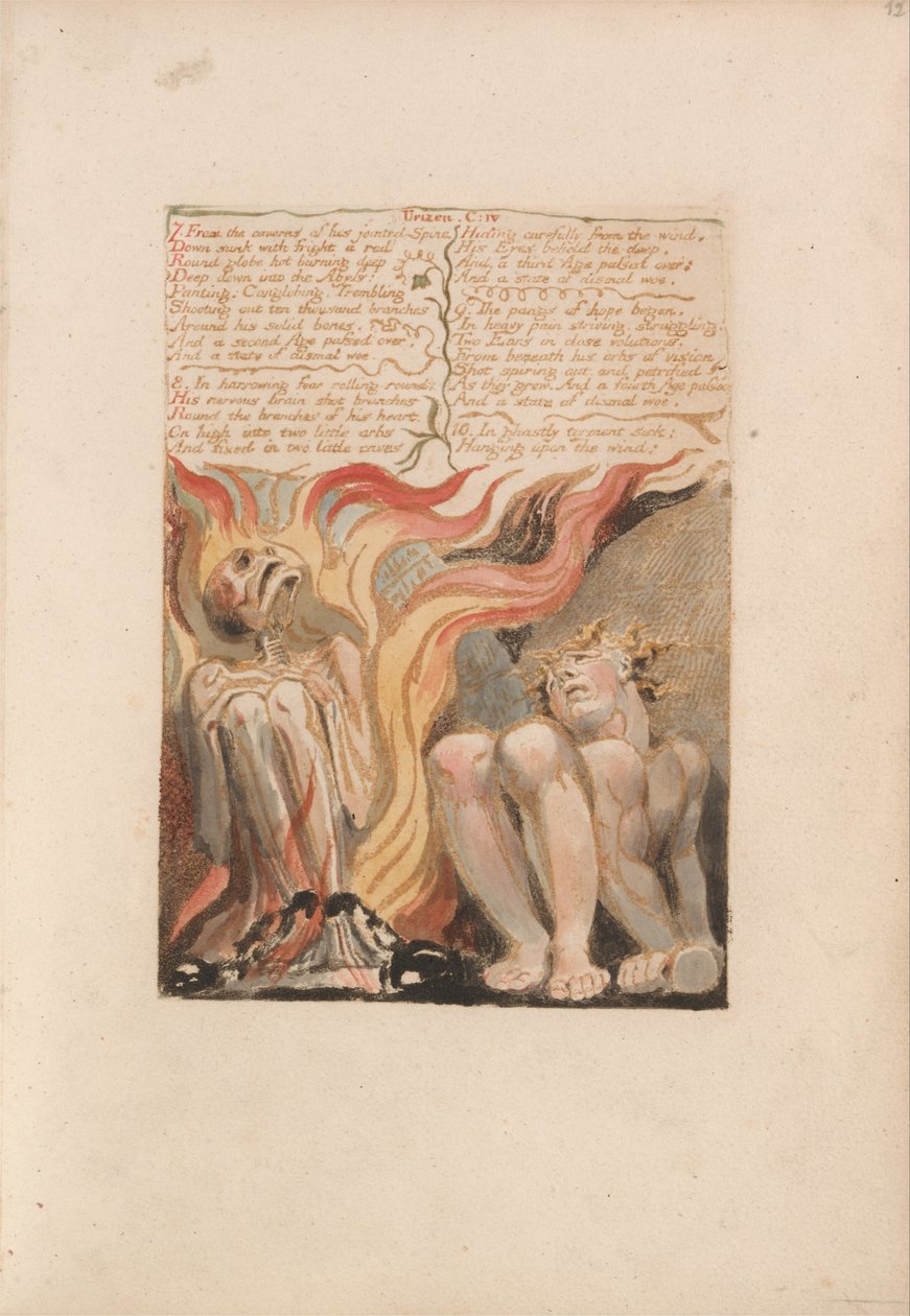 The First Book of Urizen, Plaat 14, 7. From the Caverns of His Jointed Spine.... (Bentley 11) door William Blake