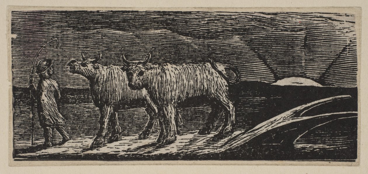 Ongejode Ossen, Langzaam Naar Huis, uit Thorntons Pastorals of Virgil door William Blake