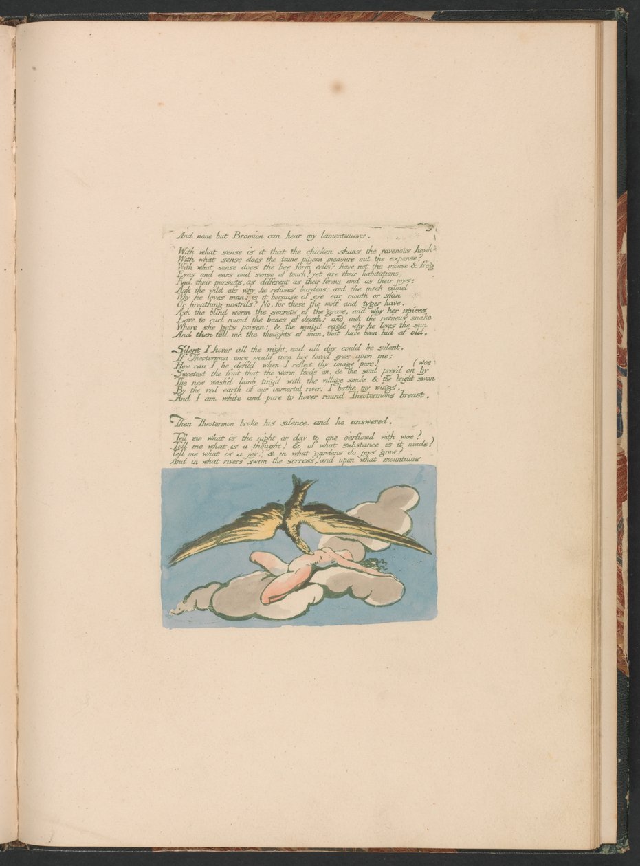 Visioenen van de Dochters van Albion, Plaat 6, En niemand behalve Bromian . . . .  door William Blake
