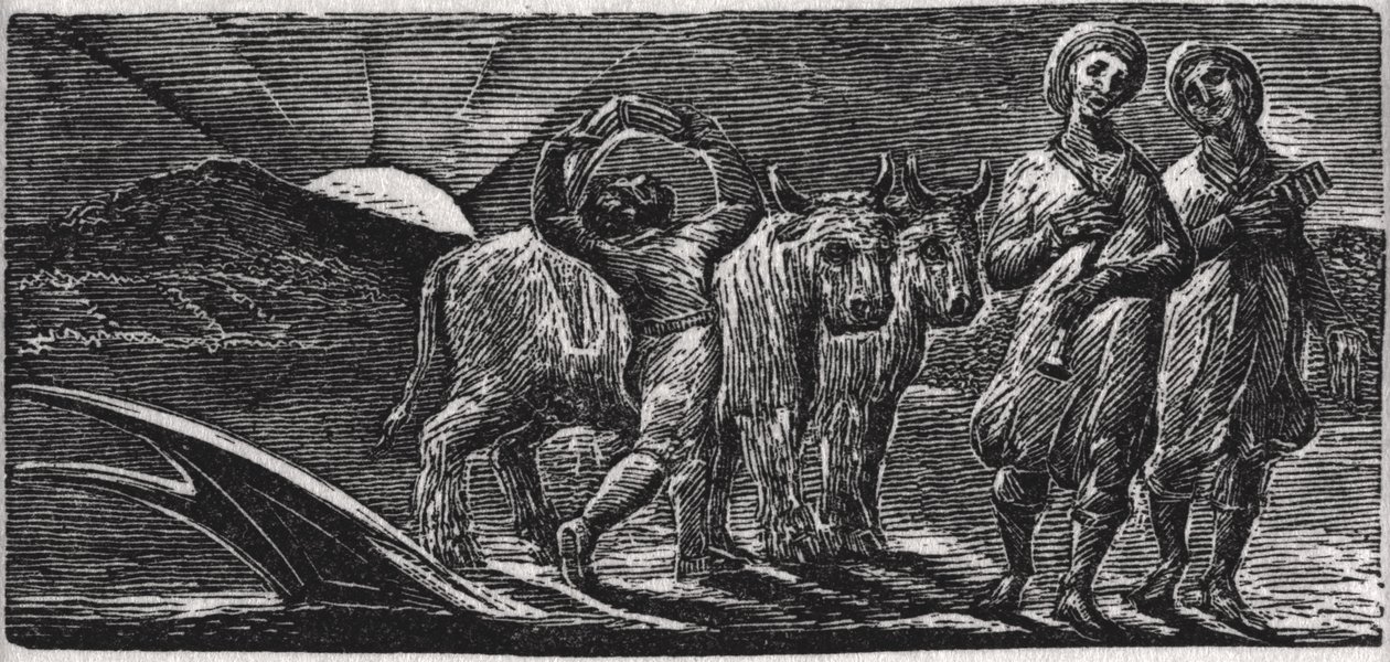 Met Liederen keren de Vrolijke Knechten Terug van de Ploeg, illustratie uit Dr. Thornton