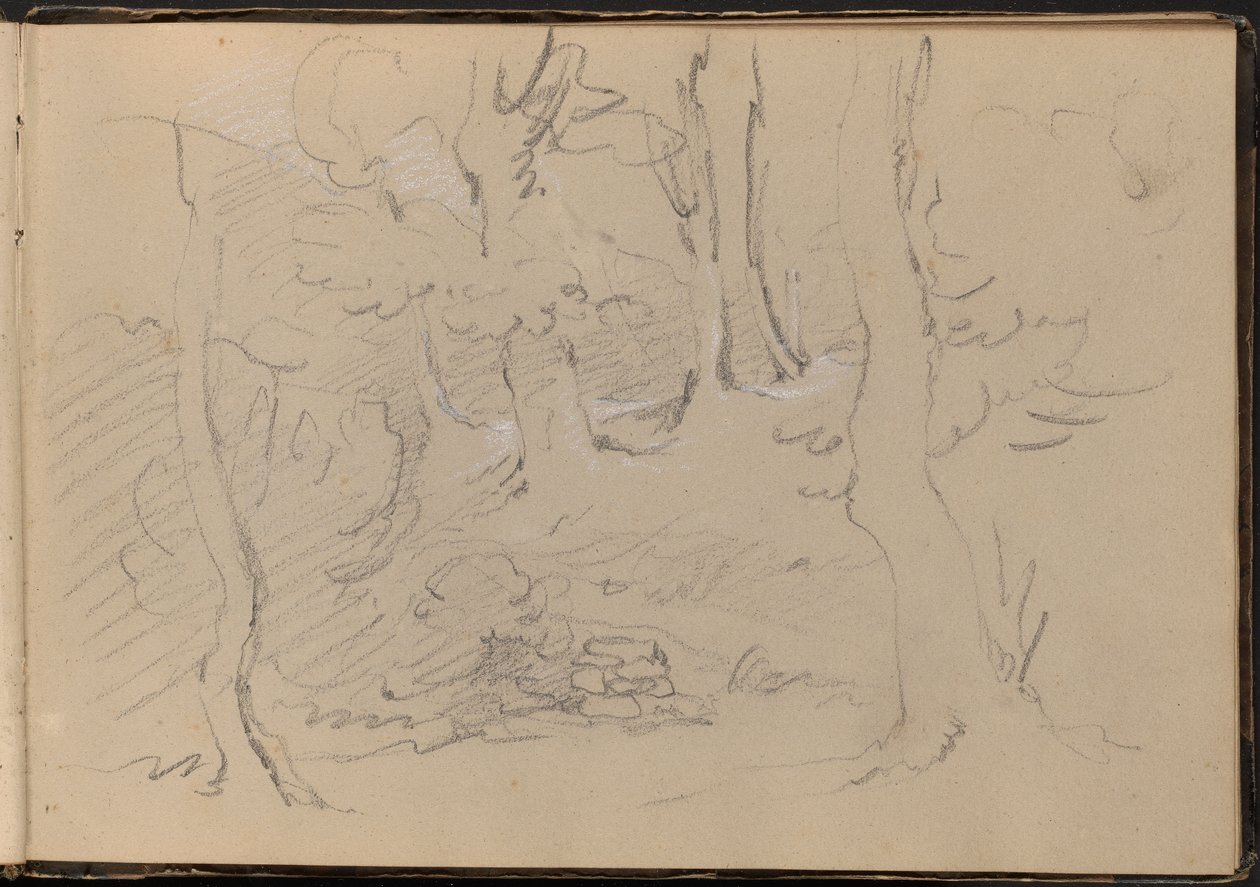 Schets van een groep bomen door William Brockedon