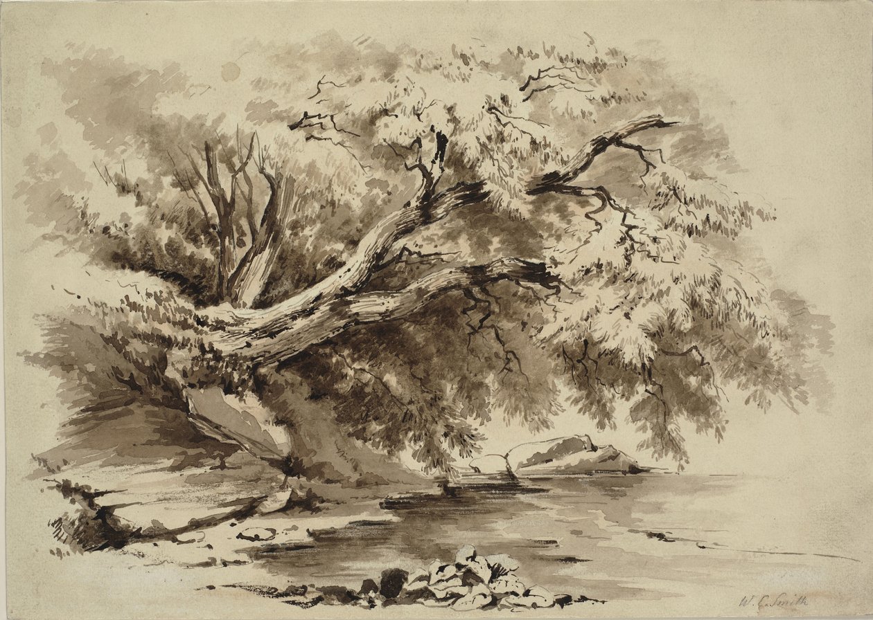 Landschap met bomen die over een meer hangen door William Collingwood Smith