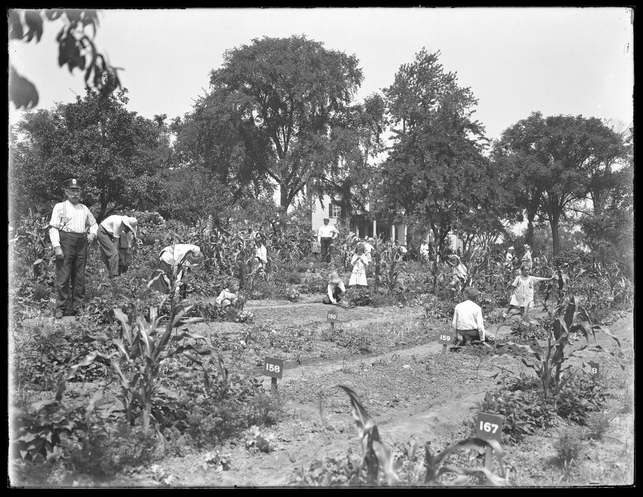 Kinderen die werken in de schooltuin van Isham Park, New York City, 16 augustus 1915 door William Davis Hassler