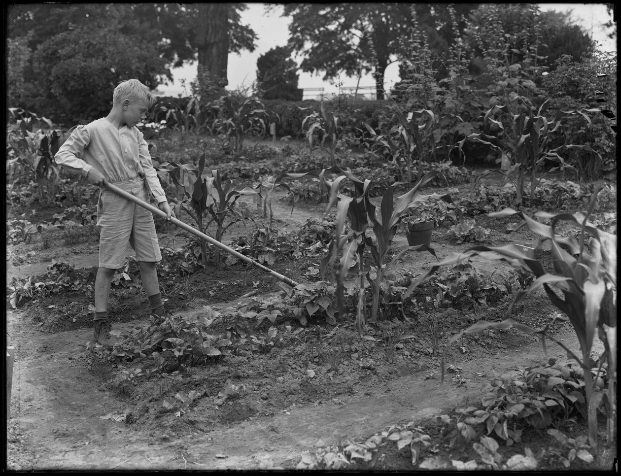 William Gray Hassler werkt in de schooltuin in Isham Park, New York City, 5 augustus 1914 door William Davis Hassler