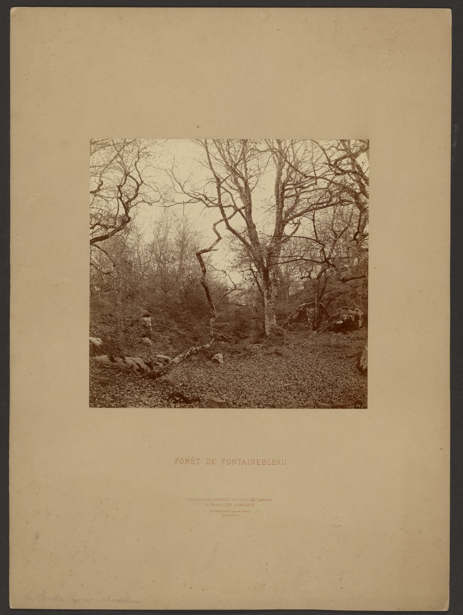 Bos van Fontainebleau door William Drooke Harrison