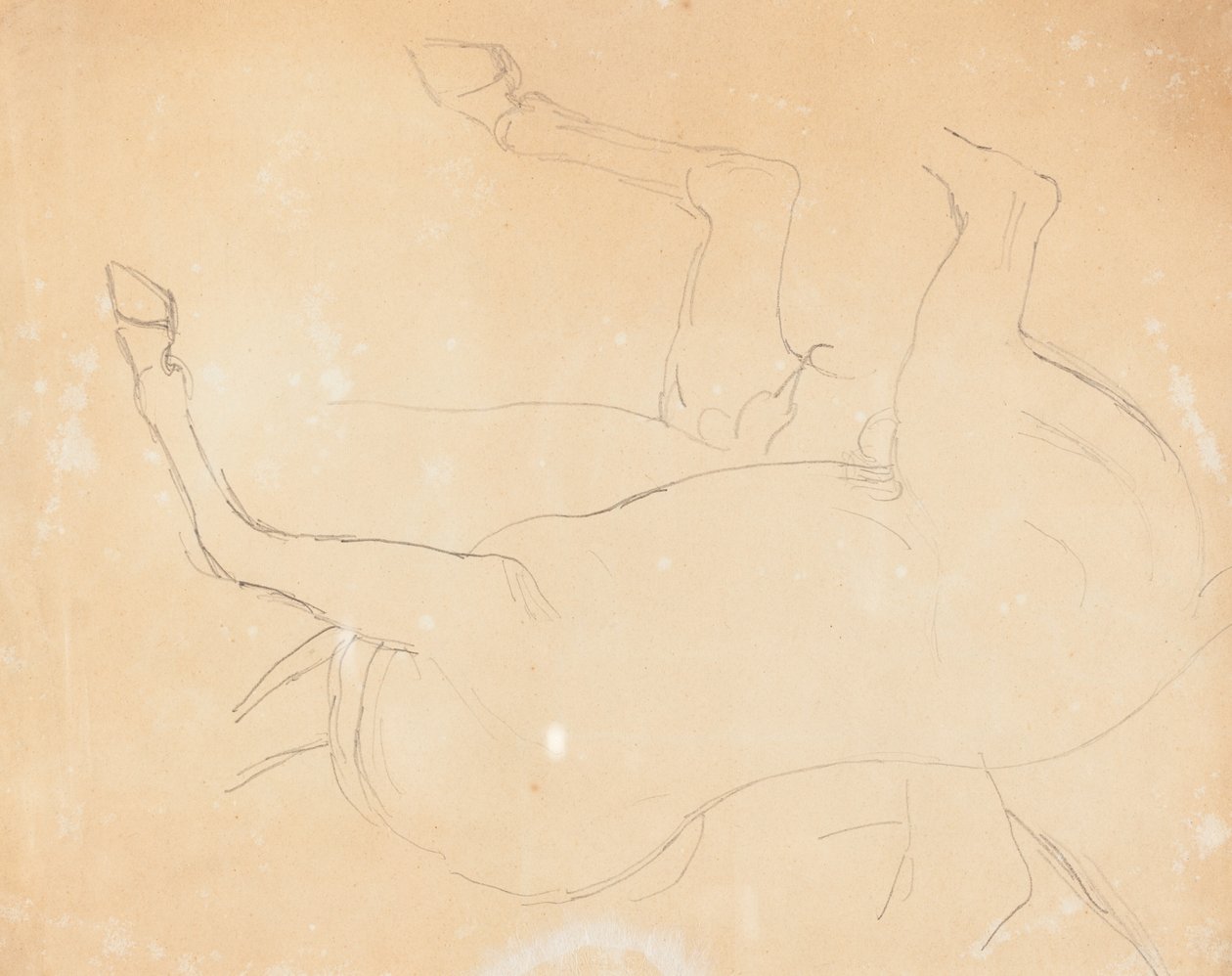 Studie van een Paard (verso) door William Etty