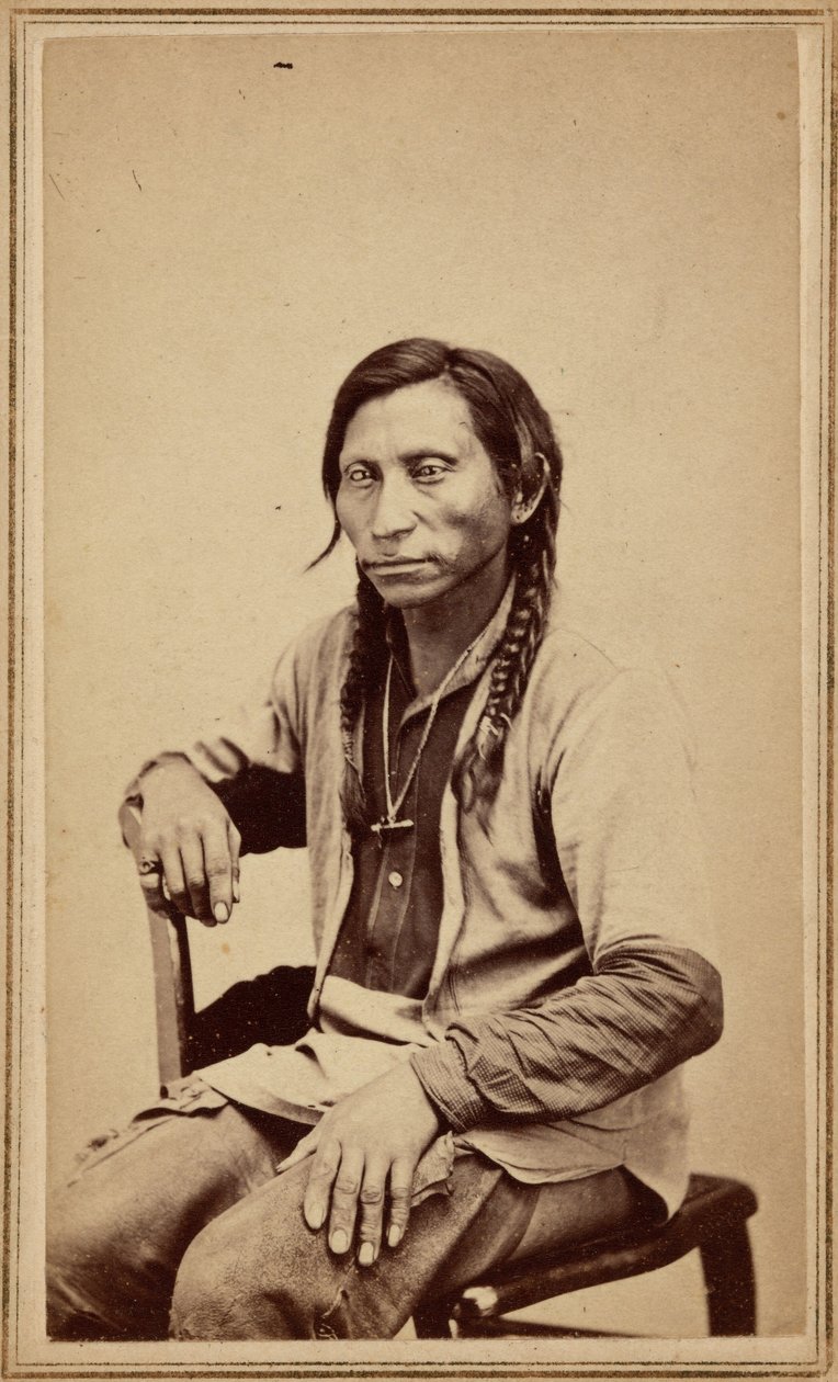 Grijze wolf,jaren 1860 (foto) door William Gunnison Chamberlain
