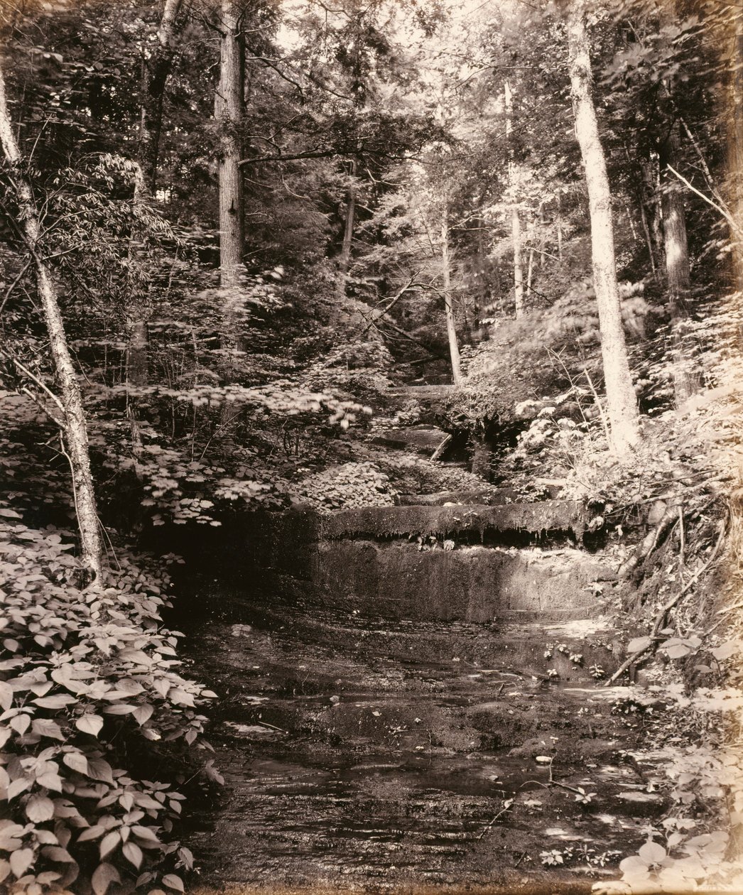 Owasco Lake, Cascade Glen, voor de Lehigh Valley Railroad door William H. Rau