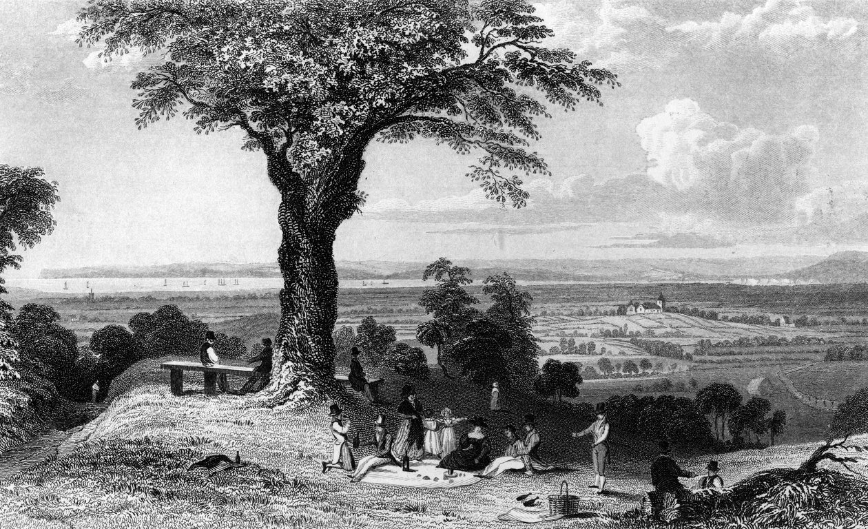 Scène van Laindon Hill, nabij Horndon, Essex door William Henry Bartlett