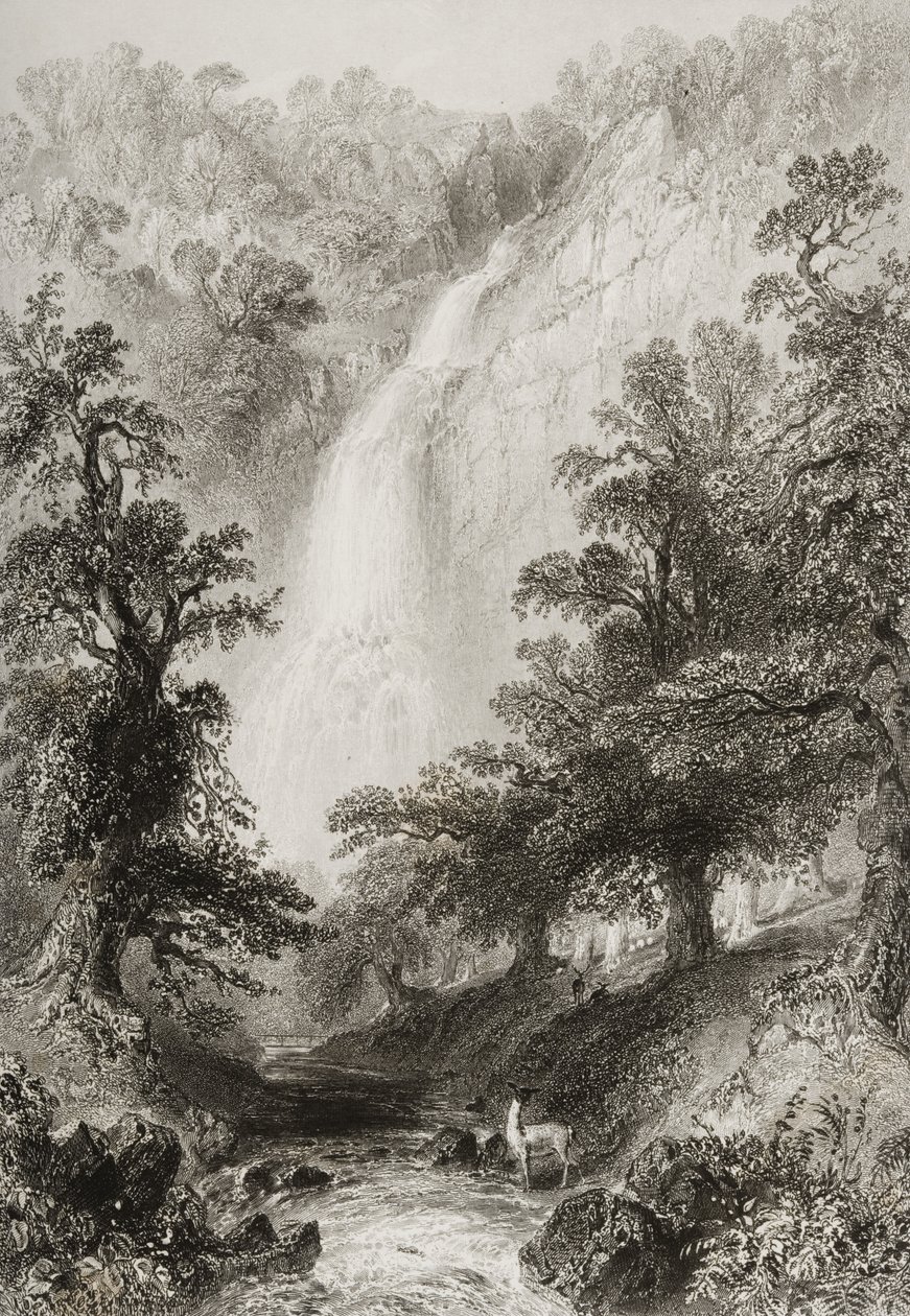 De waterval, Powerscourt, County Wicklow, Ierland, uit 
