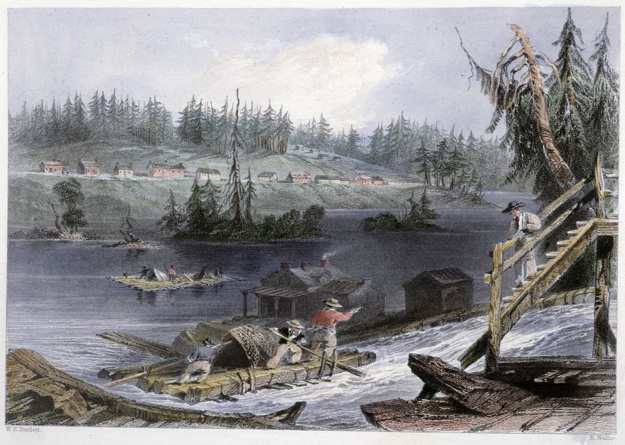 Transport van hout naar "les Chats" - in "Canadian scenery illustrated" door Bartlett W. H. door William Henry Bartlett