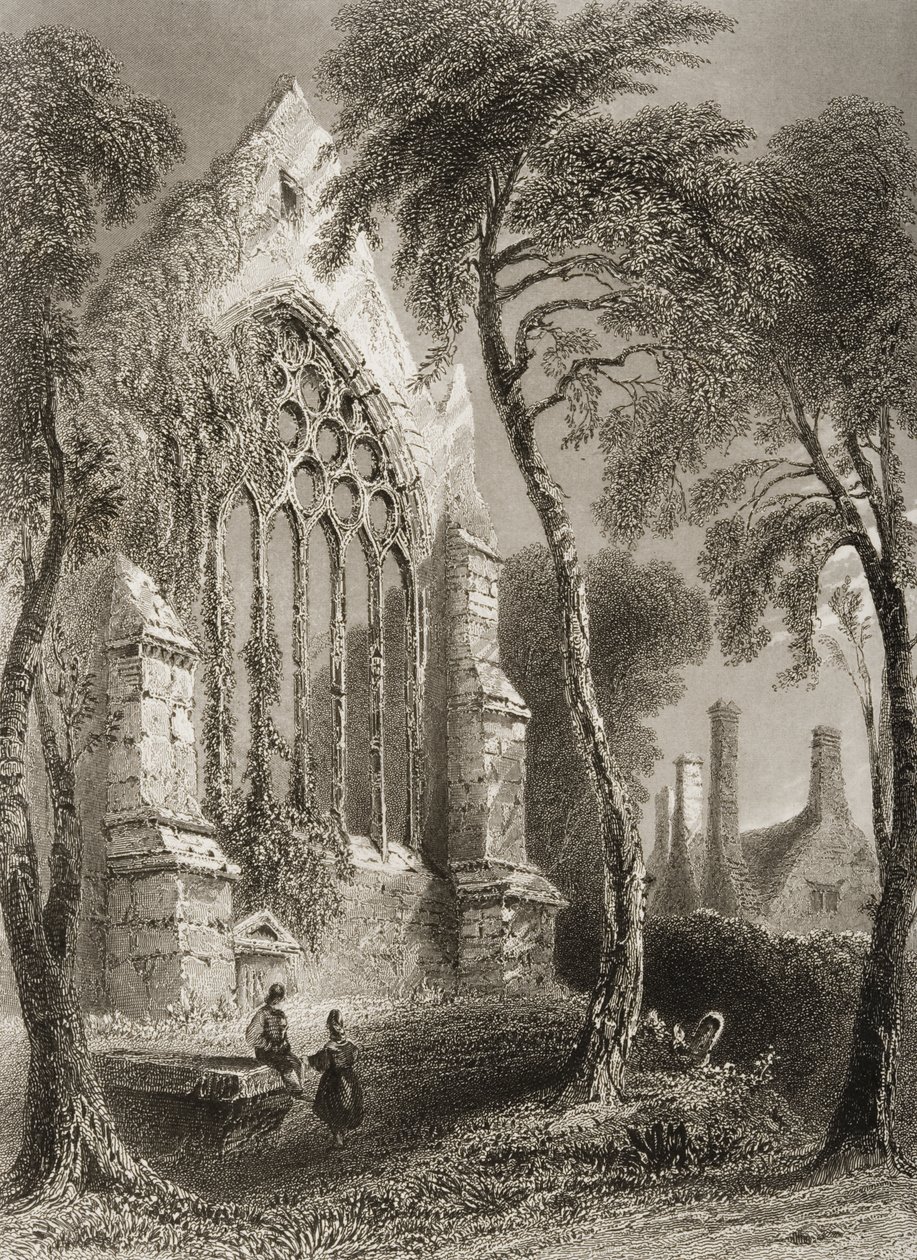 Youghal Abbey, County Cork, Ierland, uit 