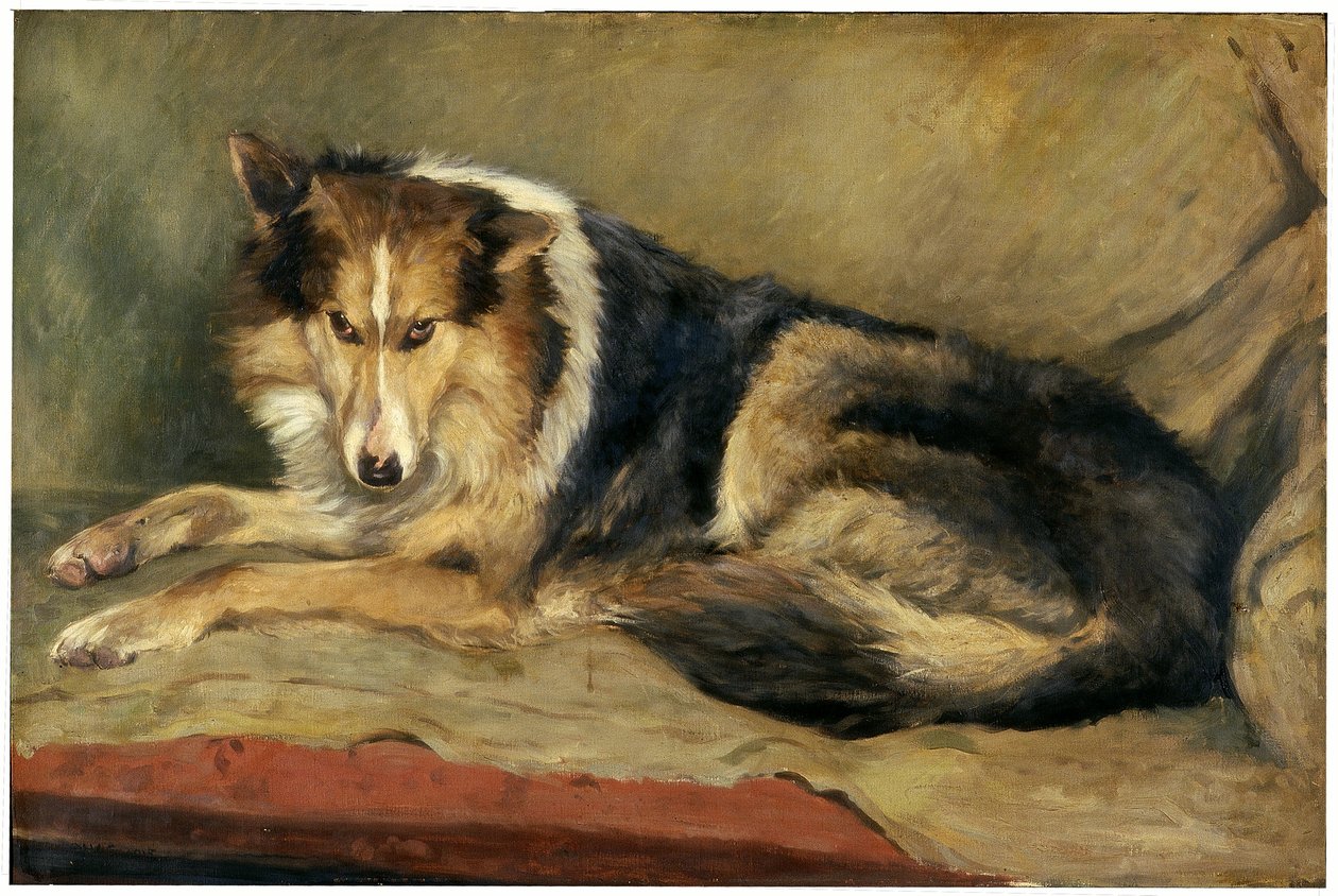 Colliehond door William Henry Charlton