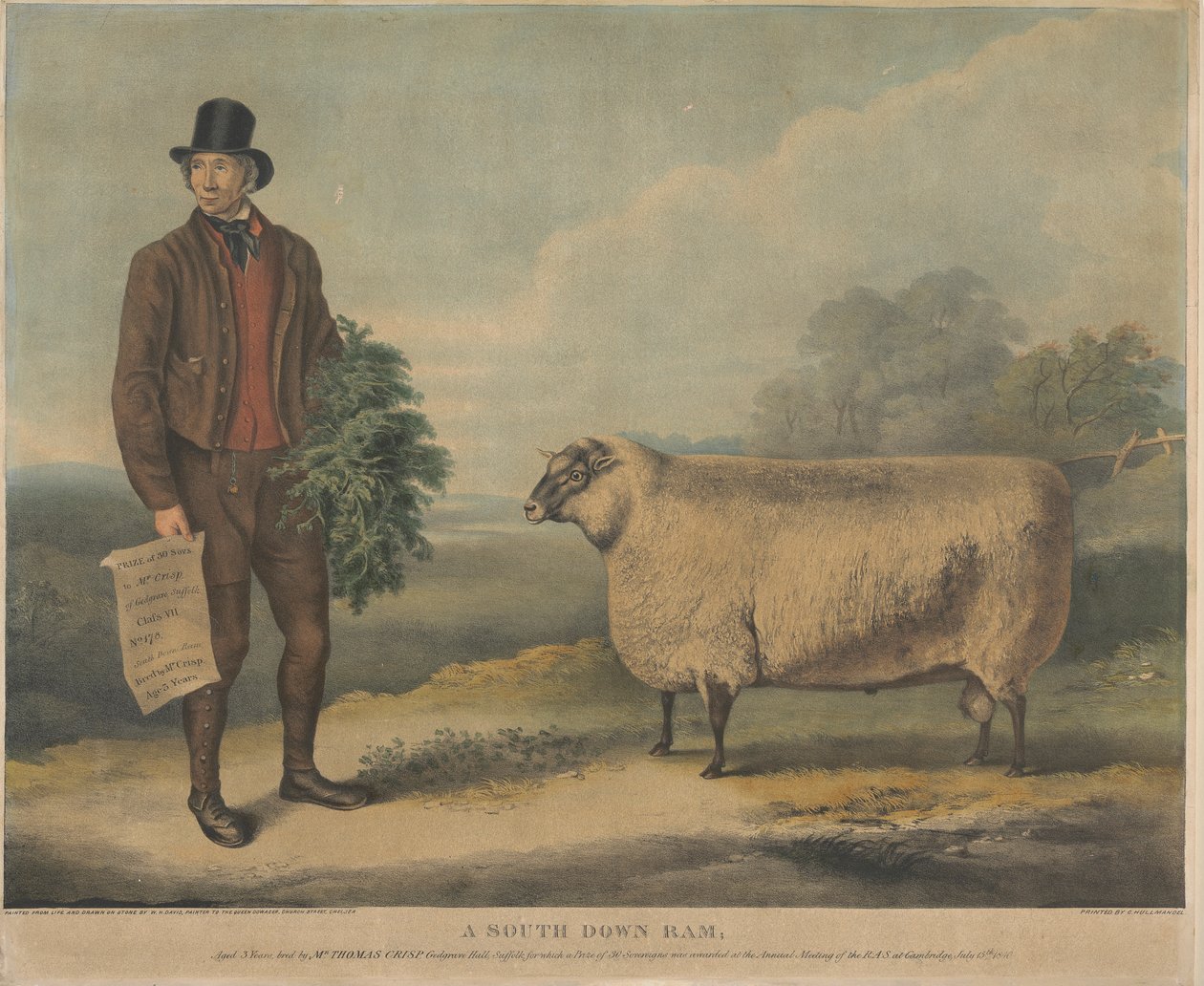 Een South Down Ram; 3 jaar oud, gefokt door de heer Thomas Crisp, Gedgrave Hall, Suffolk, waarvoor een prijs van 30 Severeigns werd toegekend op de jaarlijkse bijeenkomst van de R.A.S. in Cambridge, 15 juli 1840 door William Henry Davis