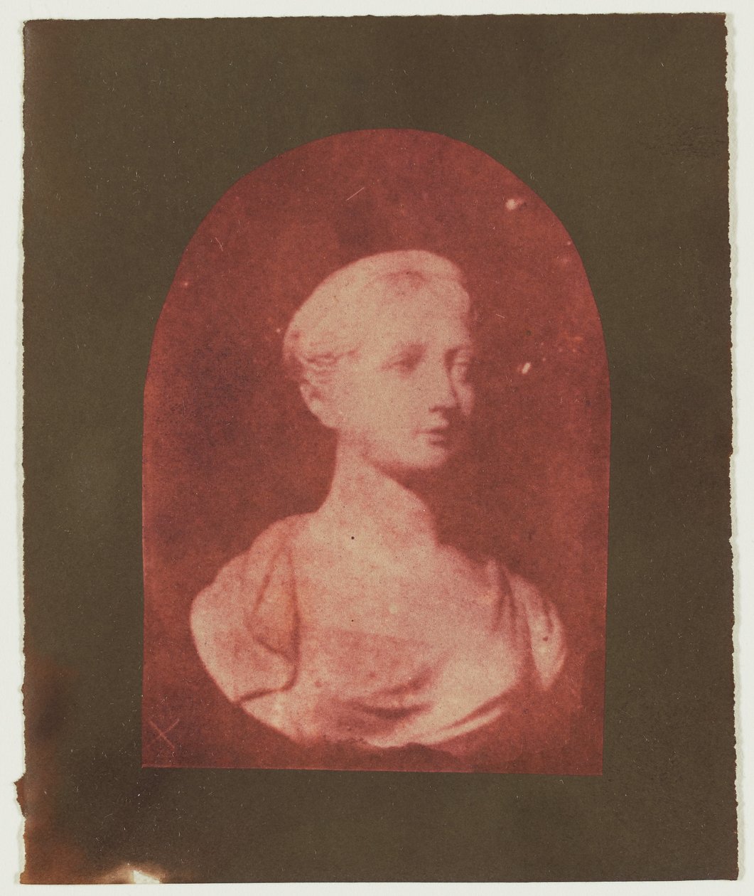 [Büste einer jungen britischen Frau] door William Henry Fox Talbot
