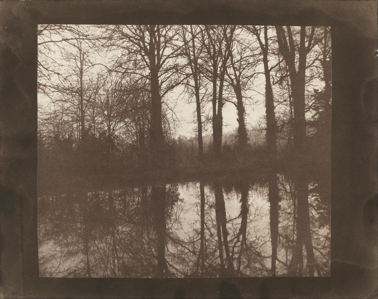 Bomen en reflecties door William Henry Fox Talbot