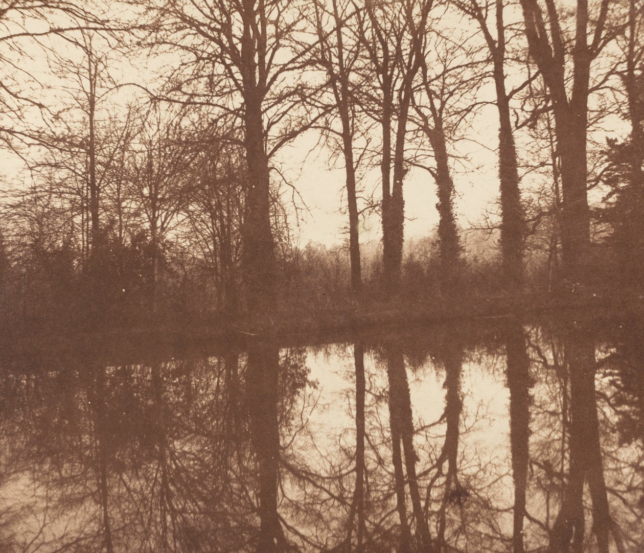 Winterbomen, weerspiegeld in een vijver,1841-1842 (foto) door William Henry Fox Talbot