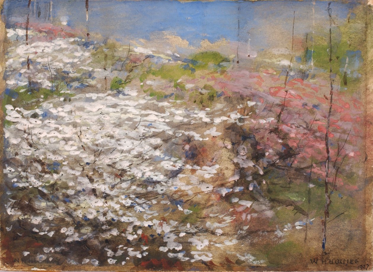 Veld van bloesems door William Henry Holmes