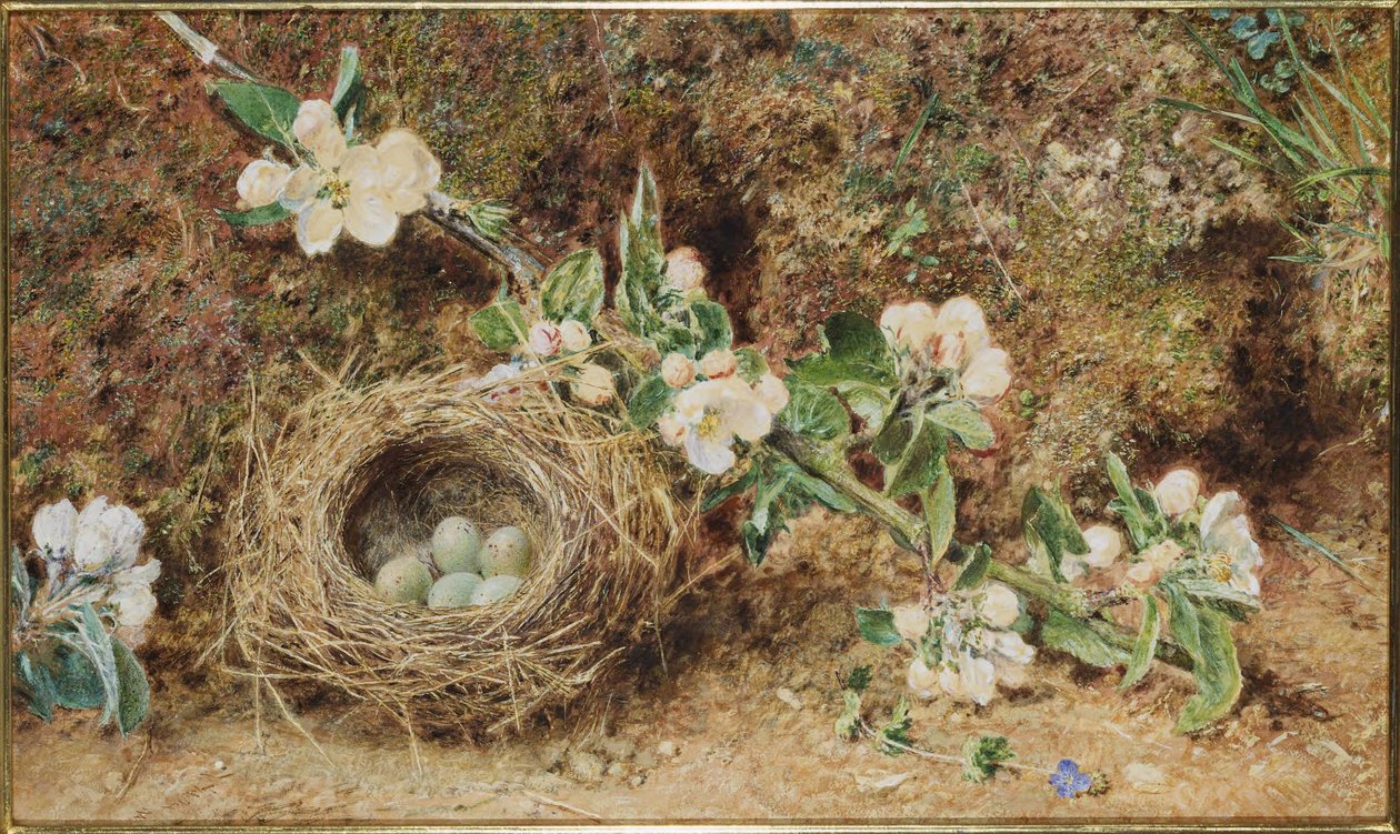 Vogelnest en bloesem door William Henry Hunt