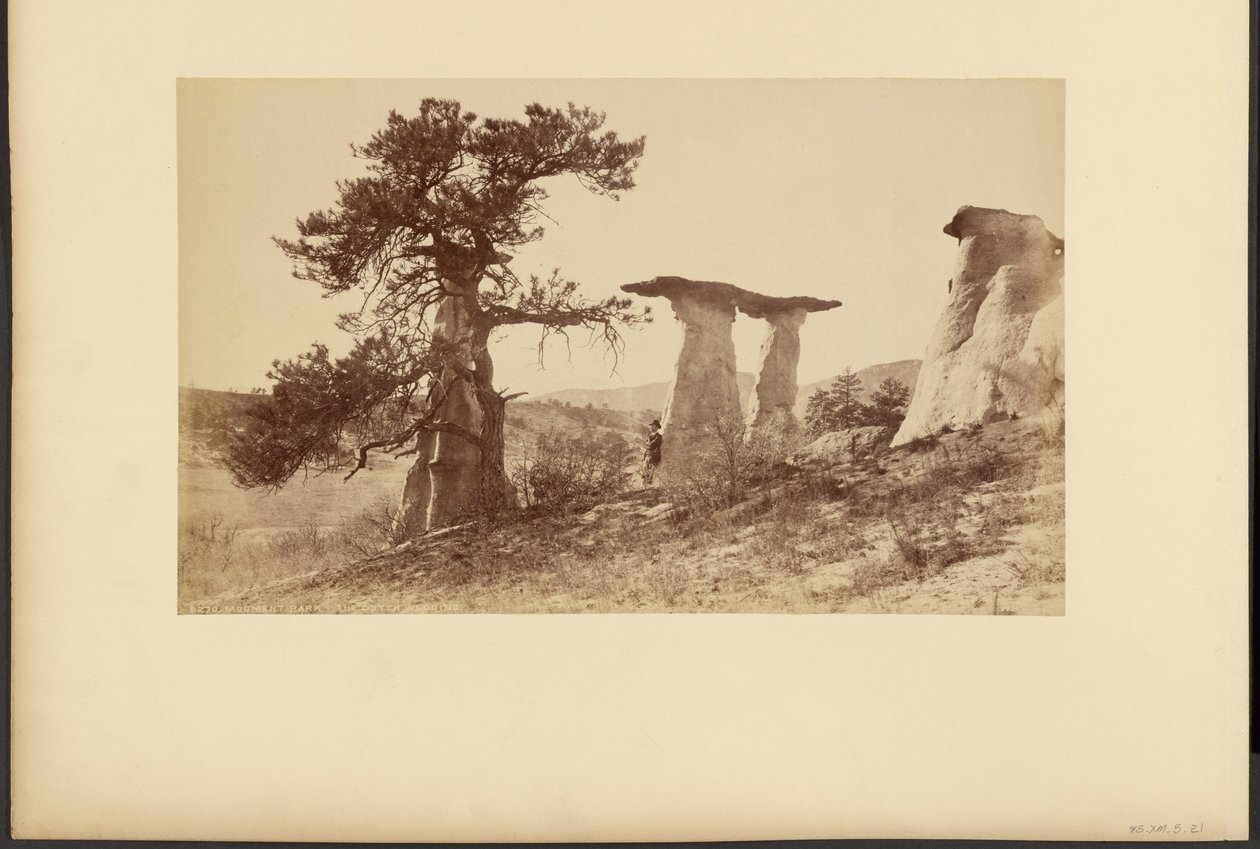 Monument Park, De Nederlandse bruiloft door William Henry Jackson