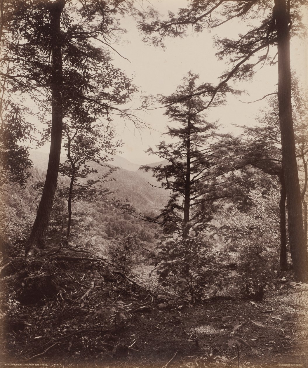 Cliff View, Through the Trees,c. 1895 (foto) door William Herman Rau