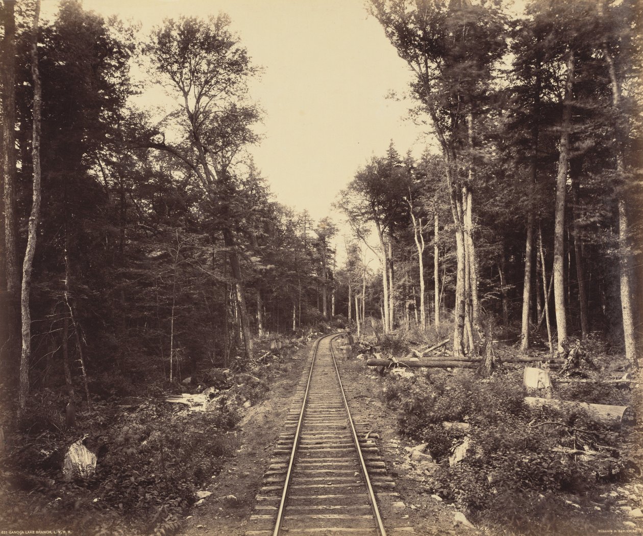 Ganoga Lake Branch,ca 1895 (foto) door William Herman Rau