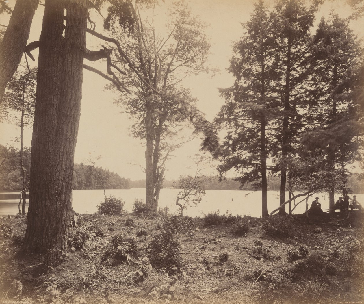 Ganoga Meer,ca 1895 (foto) door William Herman Rau