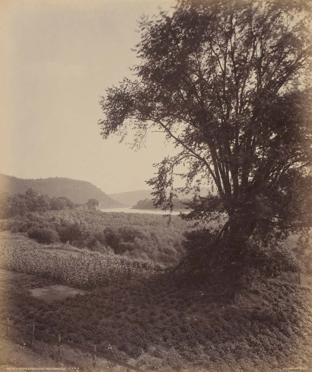 Pittoreske Susquehanna, bij Laceyville, ca 1895 (foto) door William Herman Rau