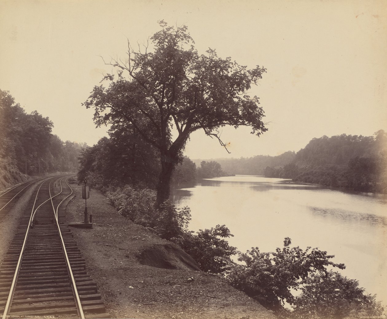 De Lehigh, Bij Turkey Run,c. 1895 (foto) door William Herman Rau