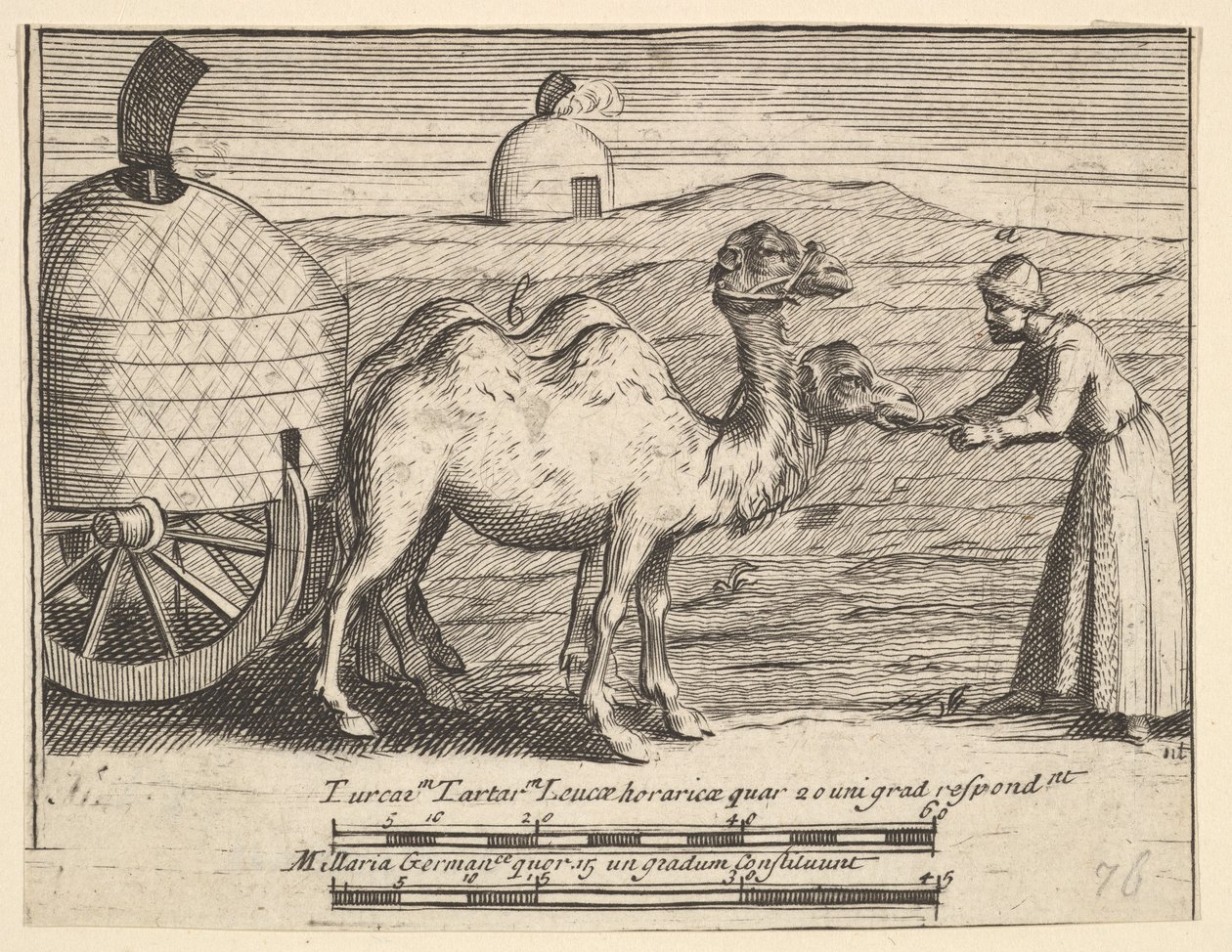 Twee dromedarissen Aubry de La Mottrayes reizen door Europa, Azië en in delen van..., 1723-24 door William Hogarth
