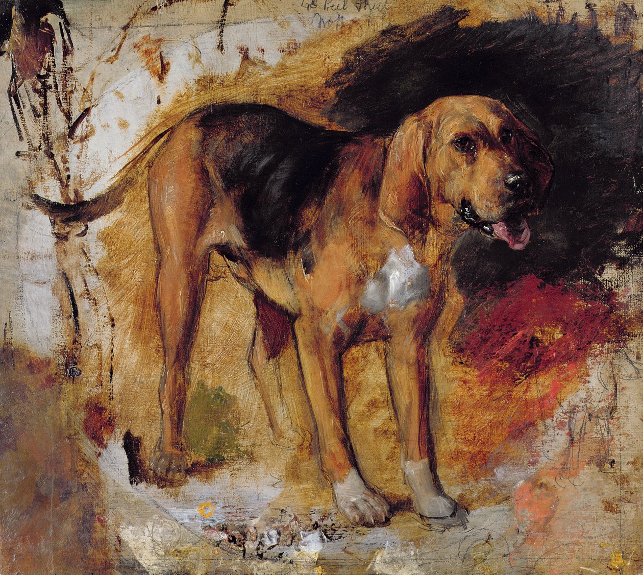 Een Studie van een Bloedhond door William Holman Hunt