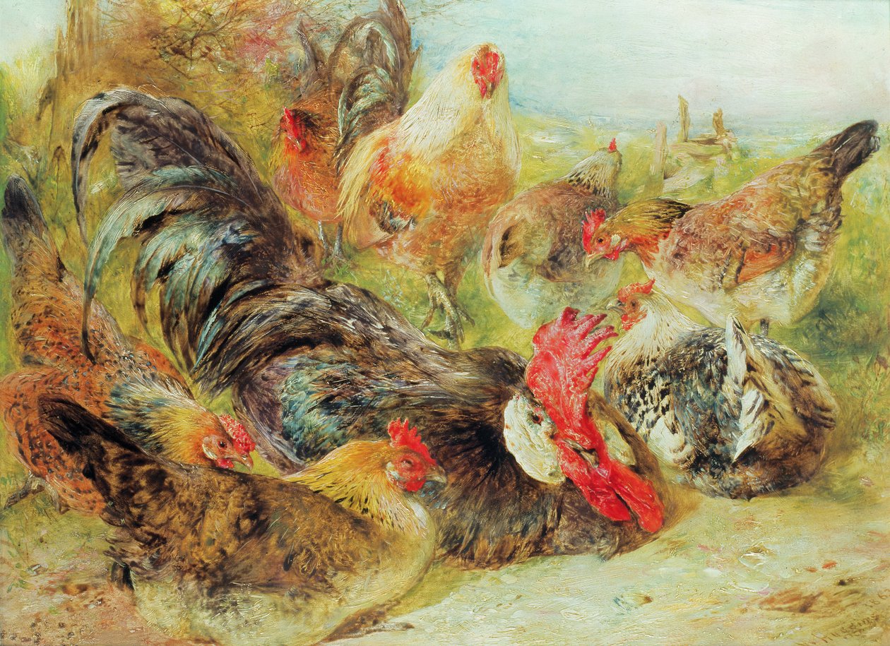 Gevogelte door William Huggins