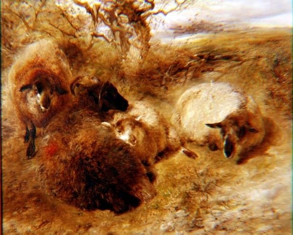 Rammen en ooien in een landschap door William Huggins