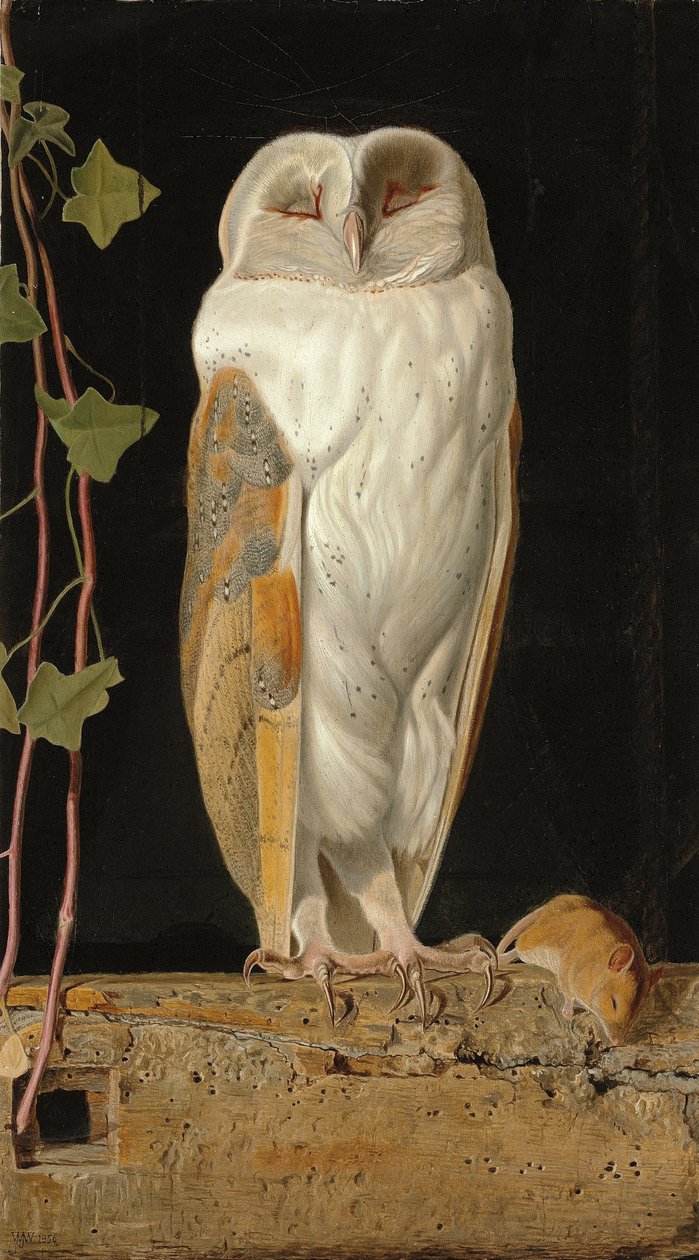 De Witte Uil: "Alleen en verwarmend zijn vijf zinnen, zit de witte uil in de klokkentoren", 1856 door William J. Webbe