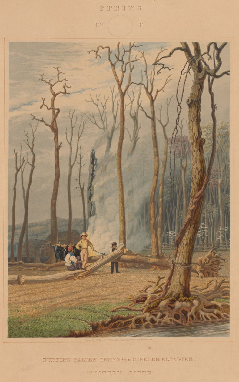 Lente - Brandende Gevallen Bomen in een Gekapte Openplek. Westers Tafereel door William James Bennett after George Harvey