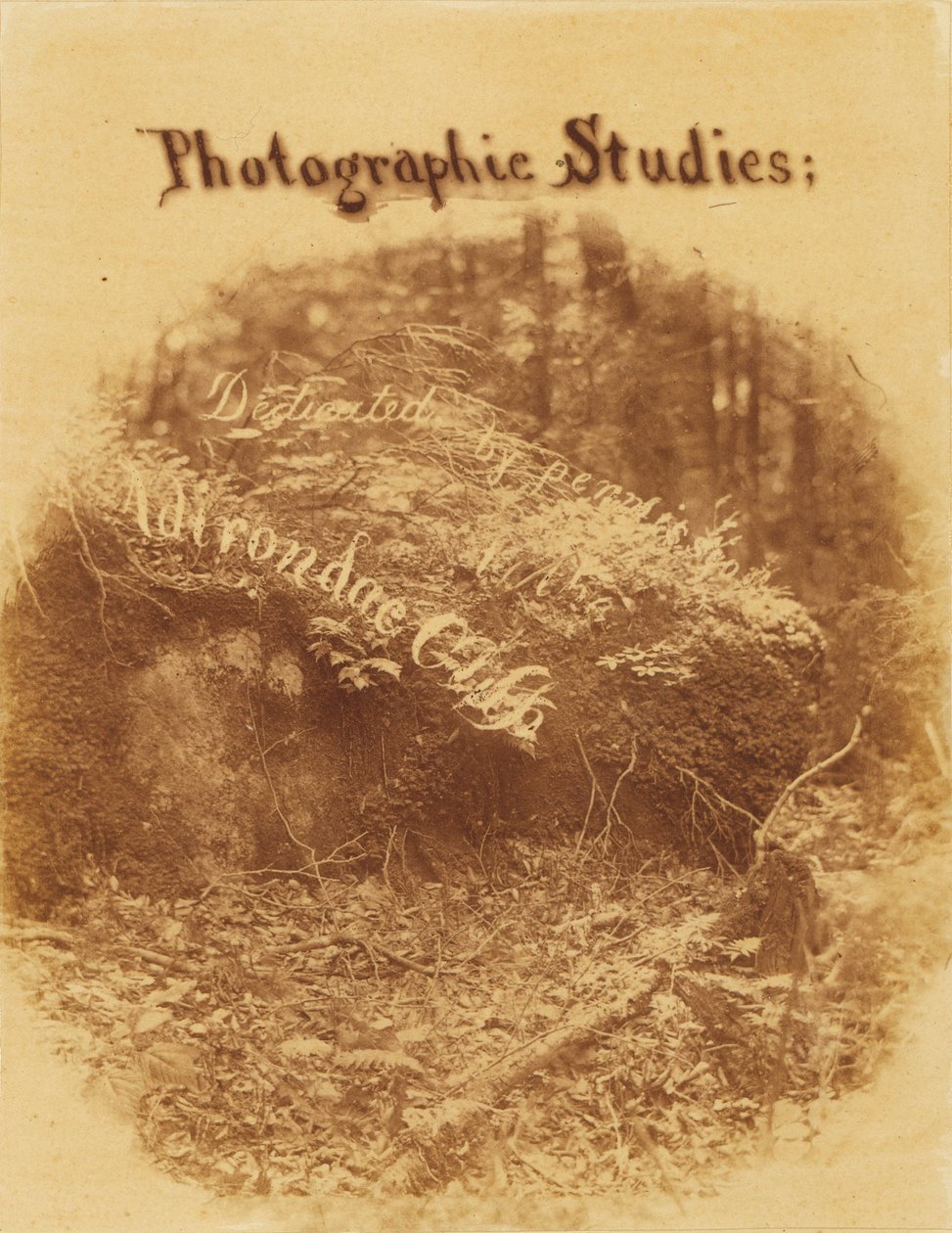 Zonder titel, uit de portfolio The Forest: Adirondack bossen door William James Stillman