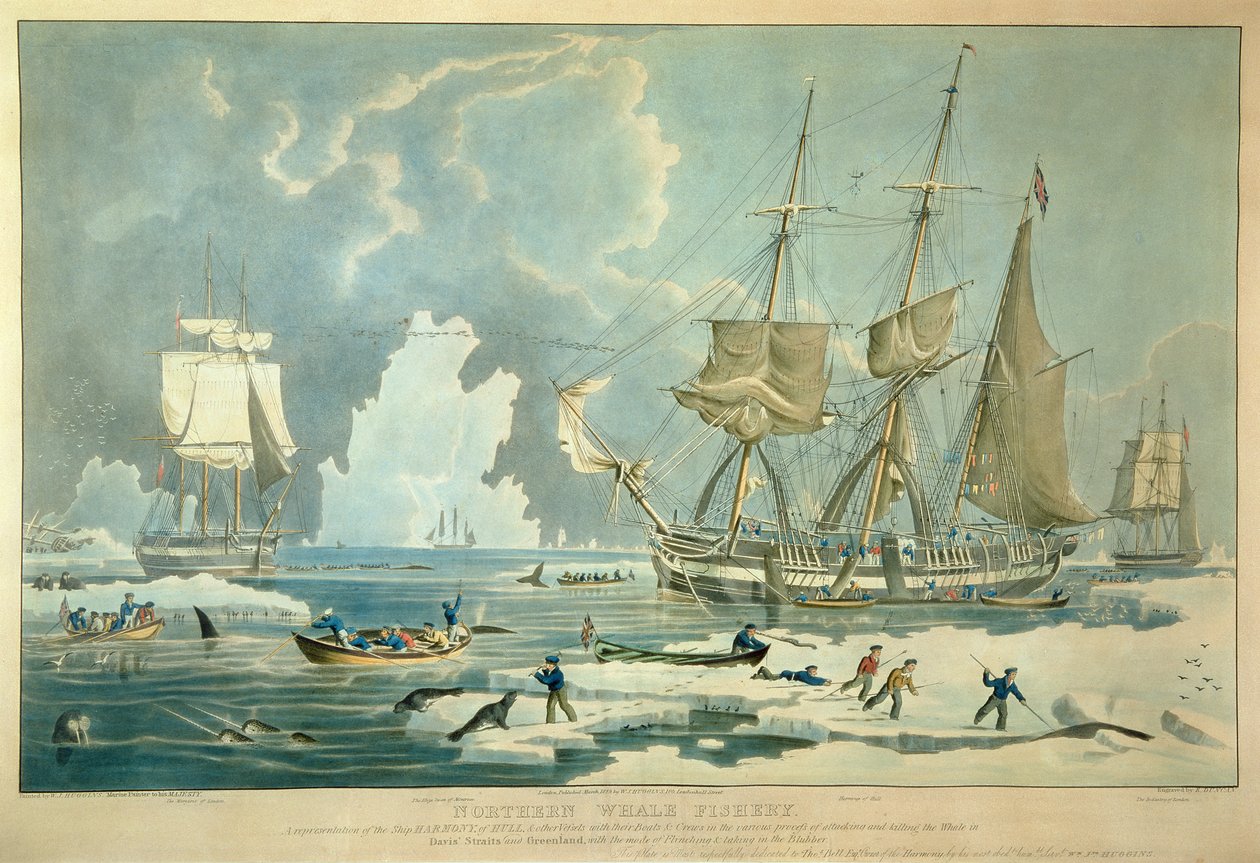 Noordelijke walvisvisserij, gegraveerd door E. Duncan door William John (after) Huggins