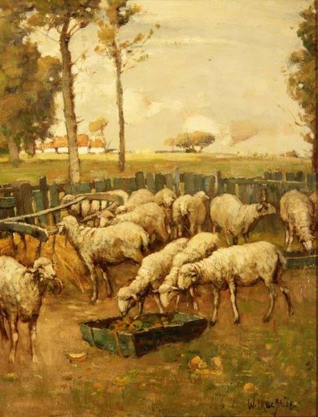 De schaapskooi door William McBride