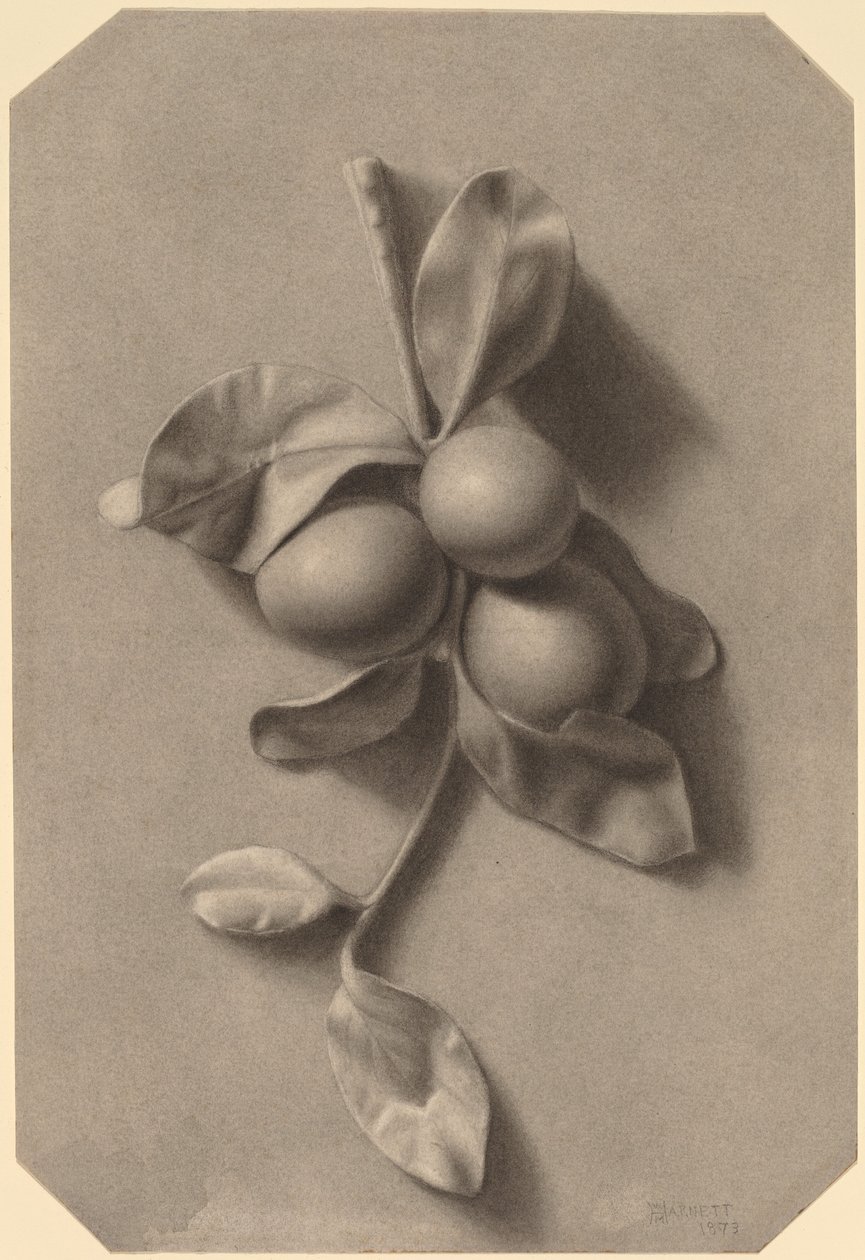 Een Takje Pruimen door William Michael Harnett