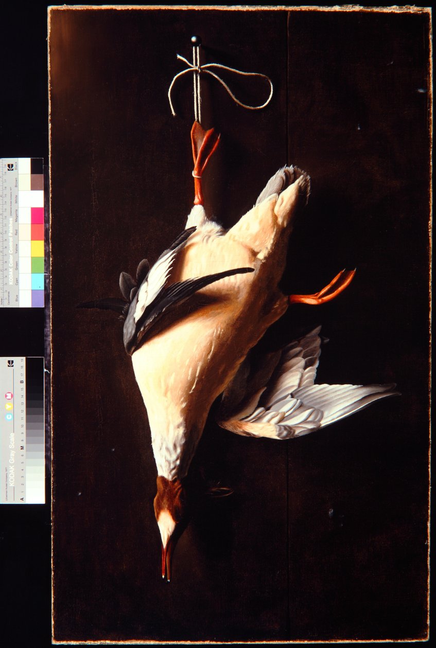 Merganser door William Michael Harnett