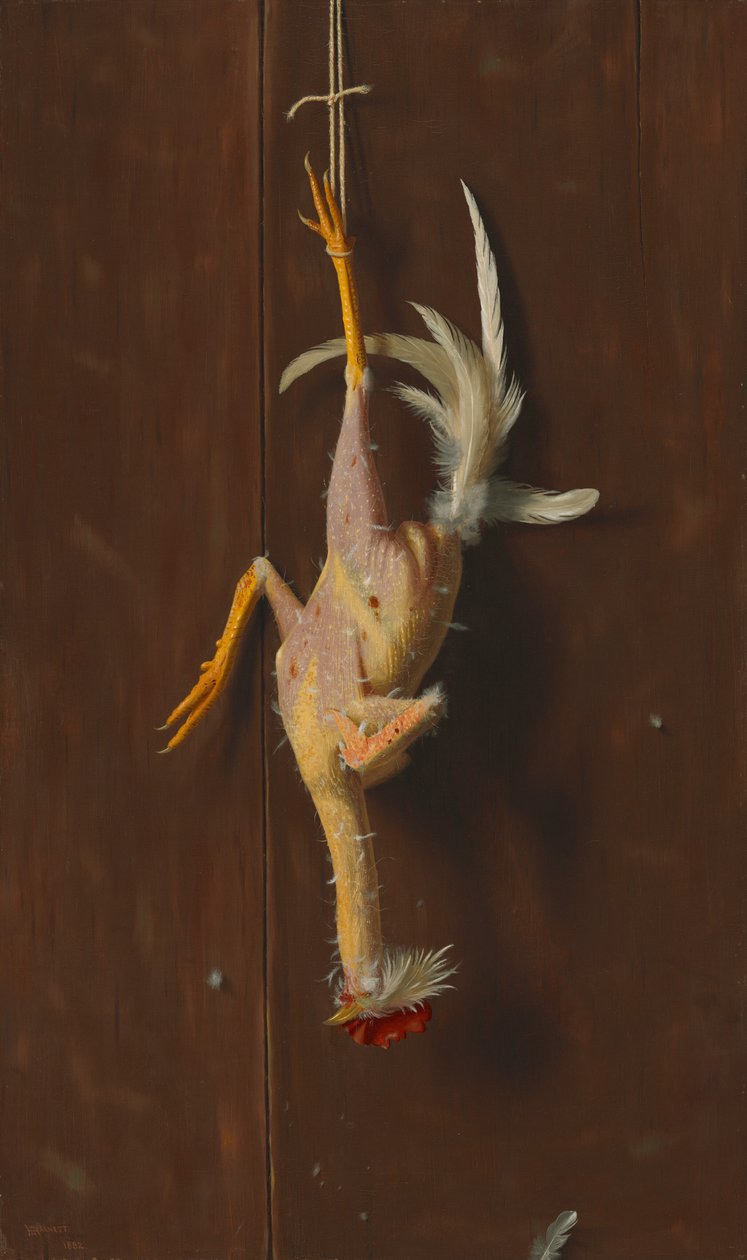 Schoon Geplukt door William Michael Harnett