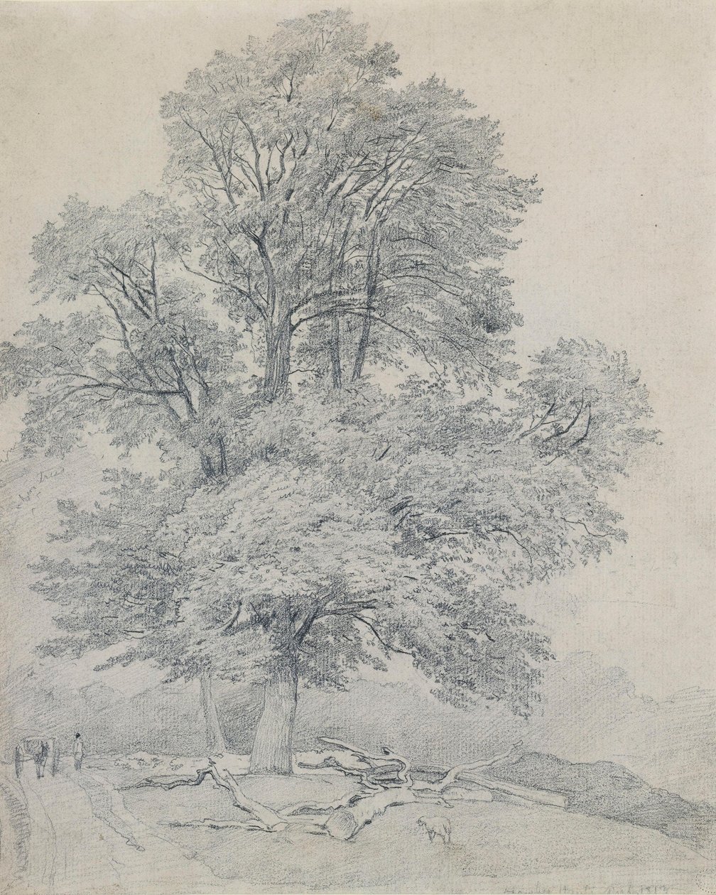 Een ruwe iep in Hawley, Hampshire door William Mulready