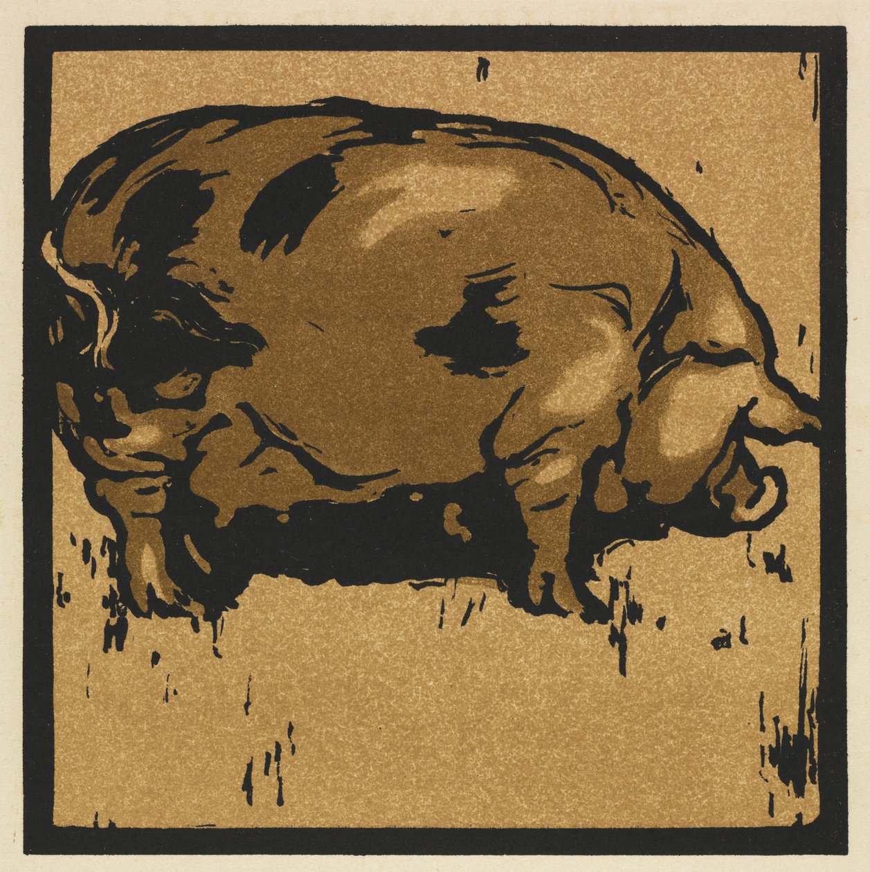 Het Vierkante Boek van Dieren: Het Geleerde Varken door William Nicholson