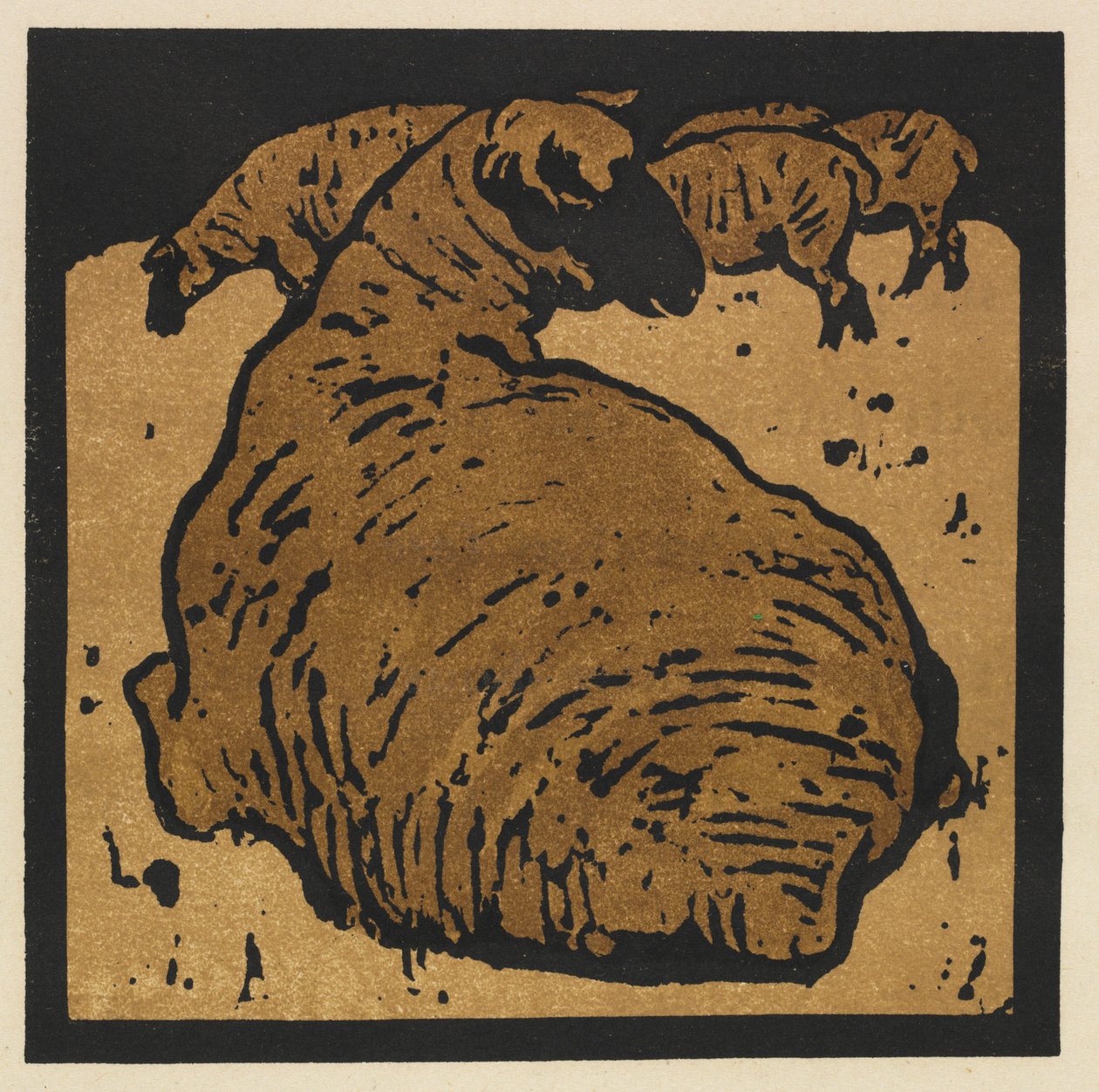 Het vierkante dierenboek: Het eenvoudige schaap door William Nicholson