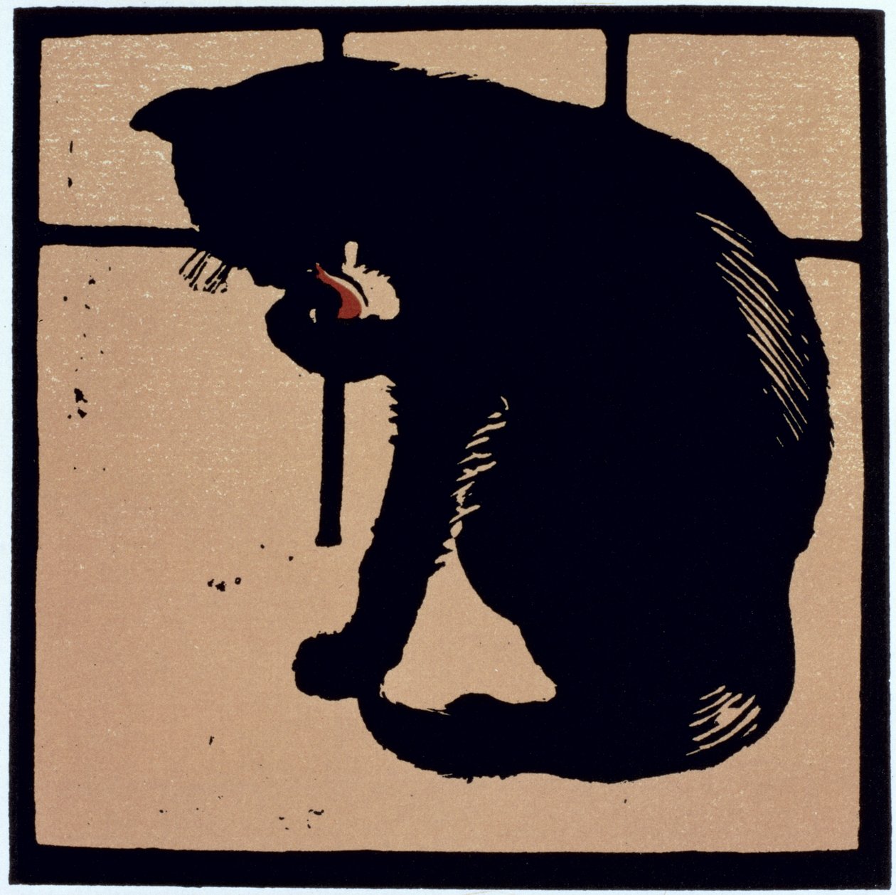 De Ongewone Kat, uit 