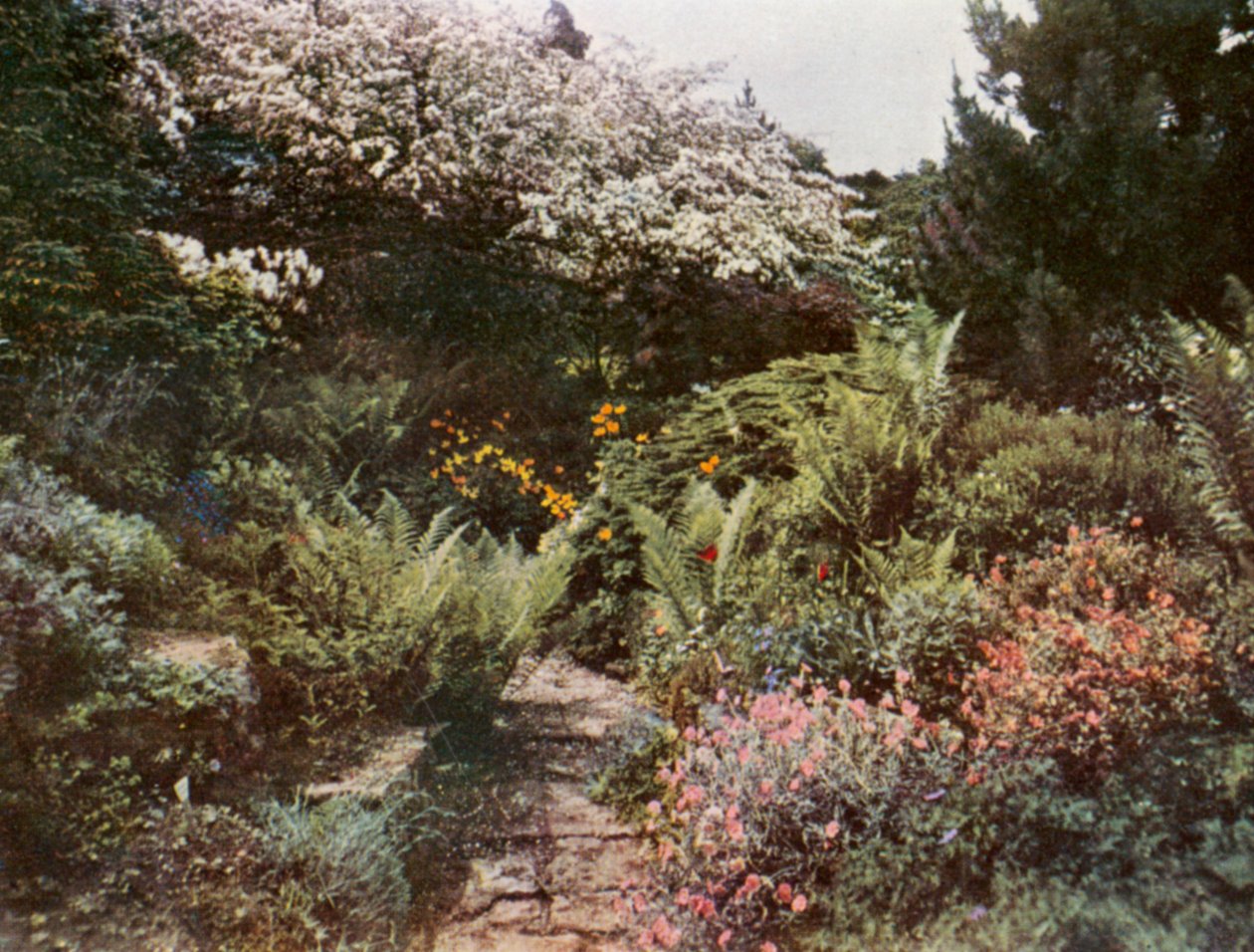  door William Ransford