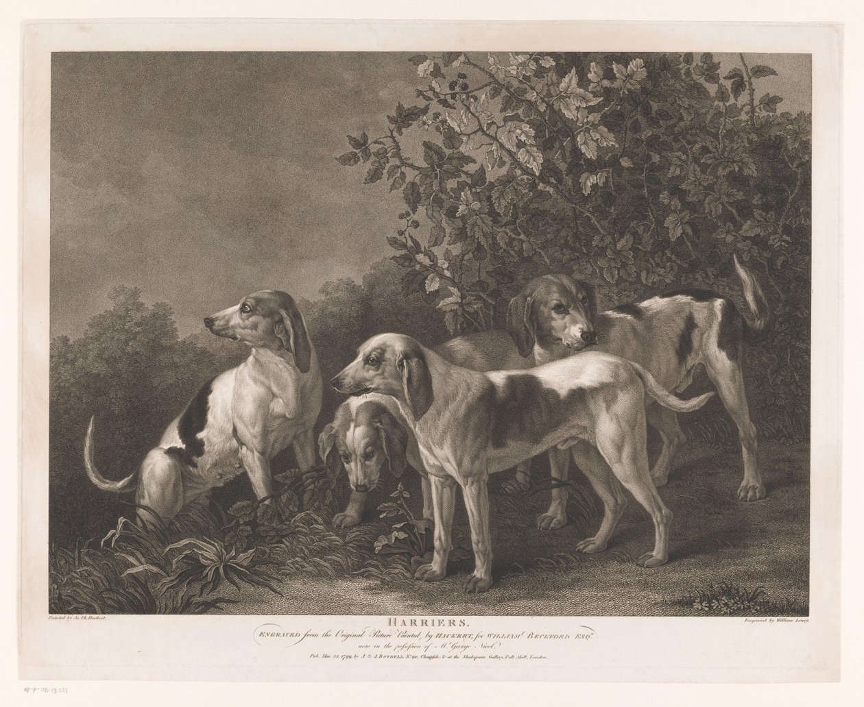 Vier jachthonden (title on object: Harriers) door William Satchwell Leney